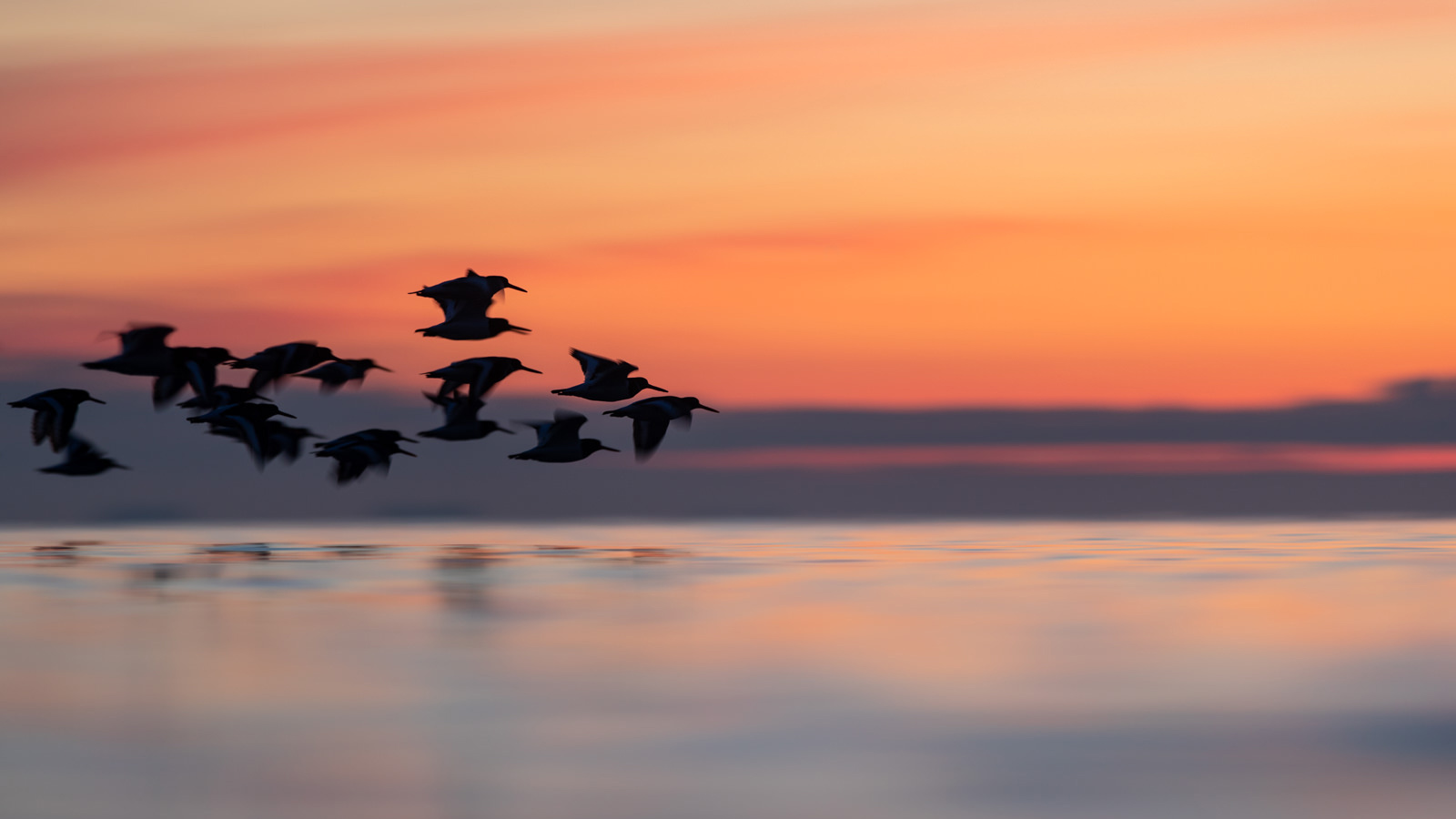 Dawn Days mental health