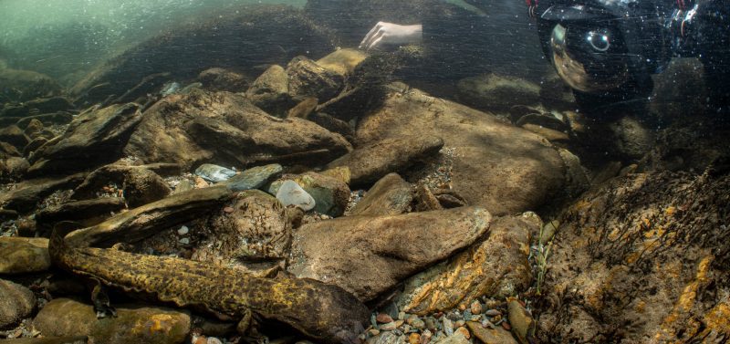 Cherokee National Forest