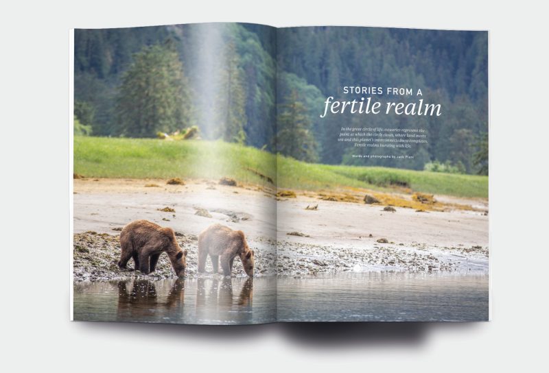 OM_website_ISSUE18_5