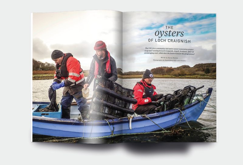 OM_website_ISSUE18_3