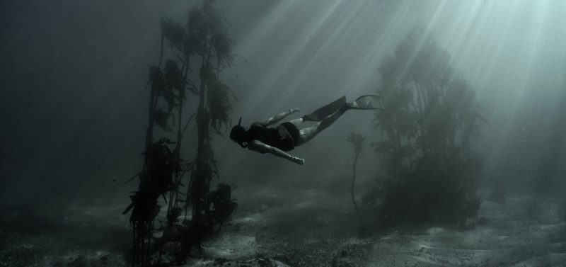 freediving octopus