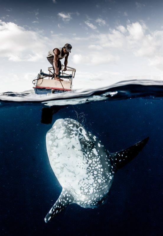 sunfish fisher indonesia alor