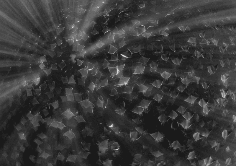 Issue 18, Oceanographic Magazine, Nadia Aly, Behind the lens