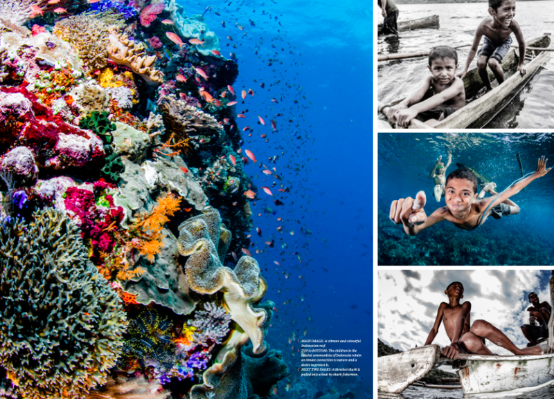 Issue 18, Oceanographic Magazine, Thresher sharks, Shawn Heinrichs