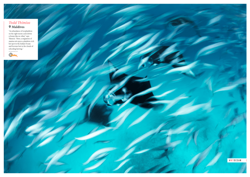 Issue 18, Oceanographic Magazine, Todd Thimios