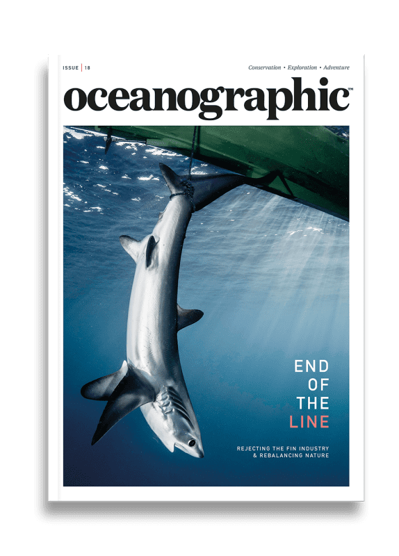 Oceanographic Magazine, Issue 18