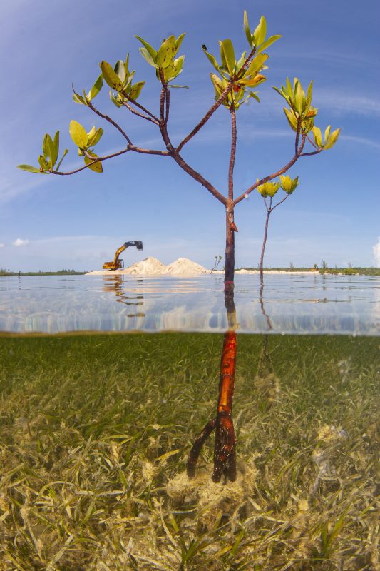 Ocean Photography Awards Matthew Potenski
