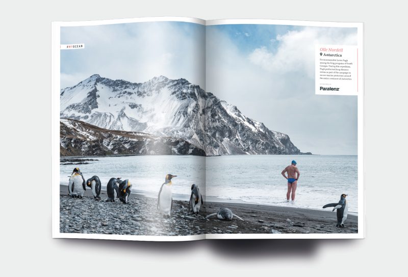 OM_website_ISSUE19_6