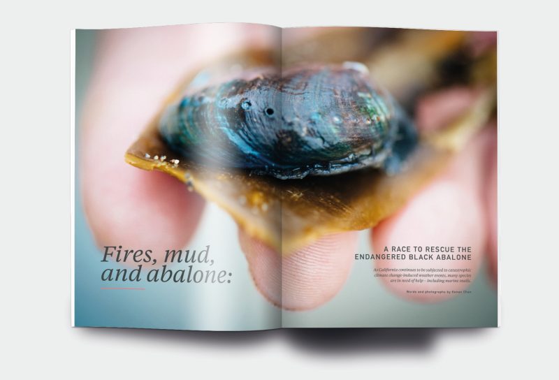 OM_website_ISSUE19_3