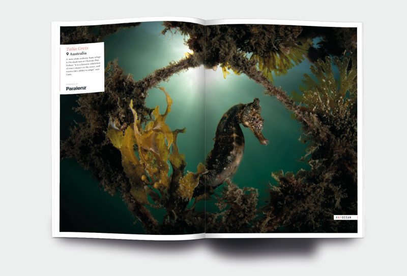 OM_website_ISSUE20_6