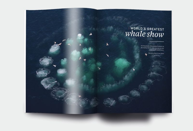 OM_website_ISSUE21_3