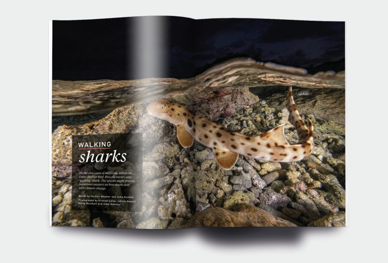 OM_website_ISSUE21_1