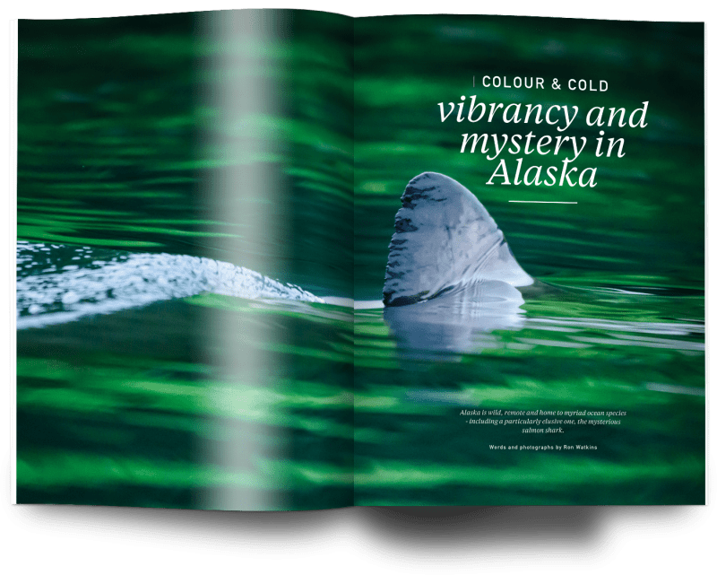 Issue 21, Oceanographic Magazine, Alaska, salmon sharks