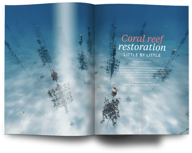 Issue 21, Oceanographic Magazine, Australia, coral restoration