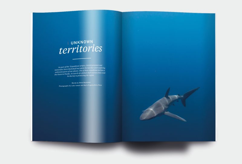 OM_website_ISSUE22_4