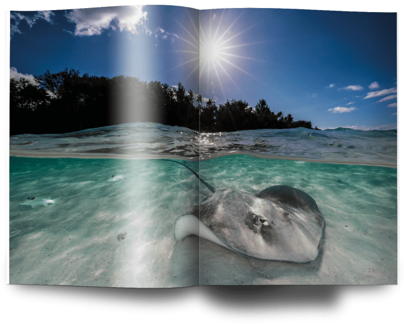 Renee Capozzola, Oceanographic Magazine