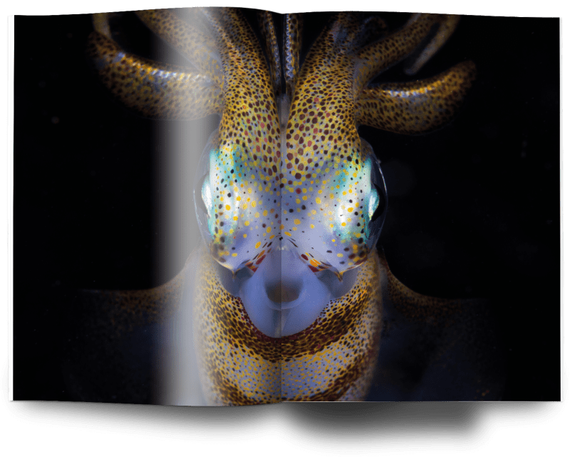 Matty Smith, Ocean Photography Awards, Oceanographic Magazine