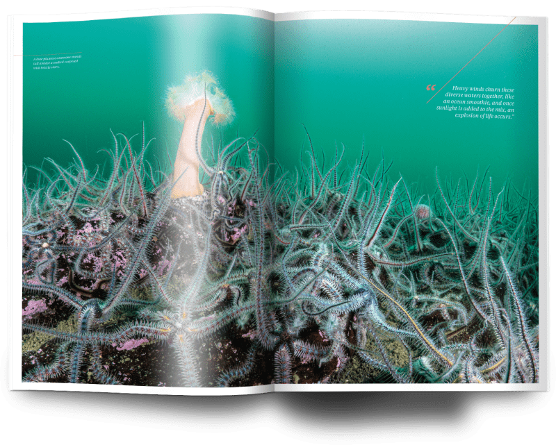 Shetland Islands, Henley Spiers, Oceanographic Magazine