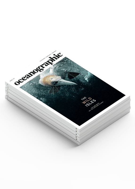 Oceanographic subscription
