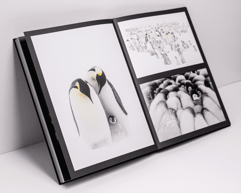 Ocean Photography Awards coffee table book, 2021, Stefan Christmann