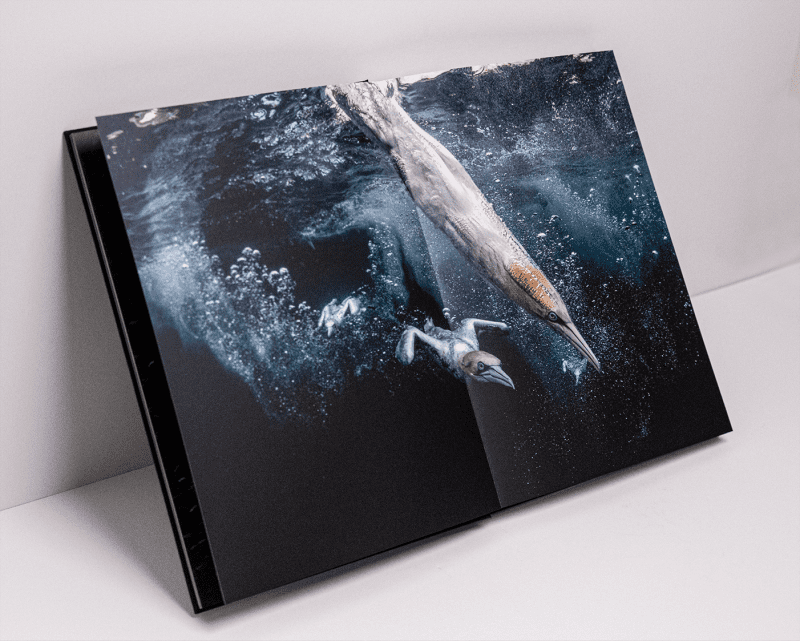 Ocean Photography Awards coffee table book, 2021, Henley Spiers