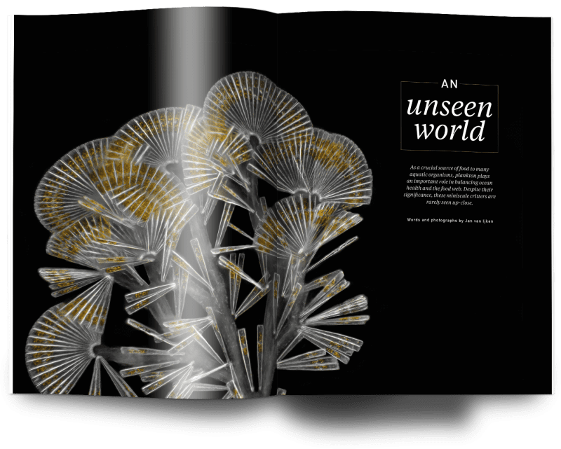 Plankton, Issue 23, Oceanographic Magazine