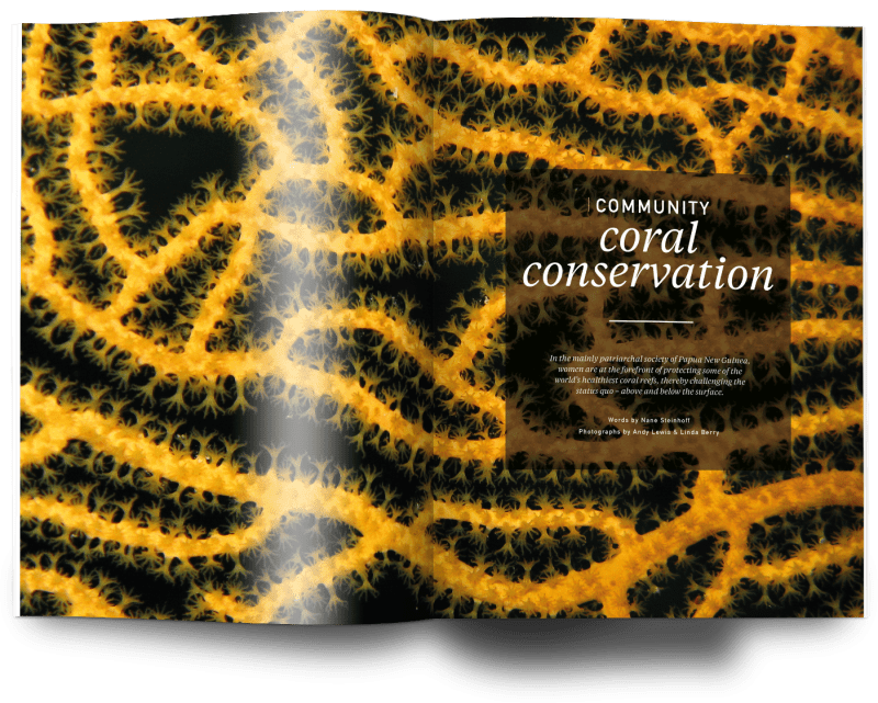 Coral community, Issue 23