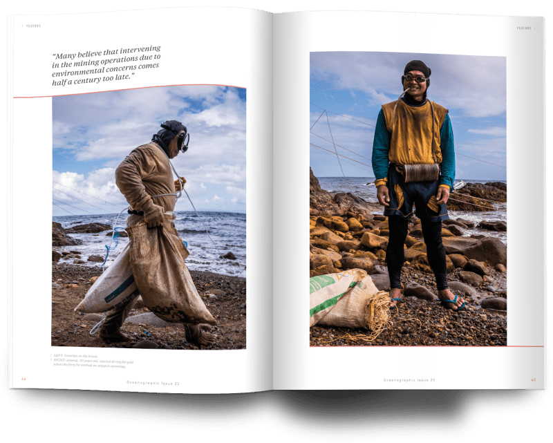 Oceanographic, Claudio Sierber, Issue 23, Gold diver portraits