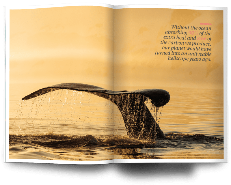 Oceanographic, Issue 23, High Seas, Cristina Mittermeier