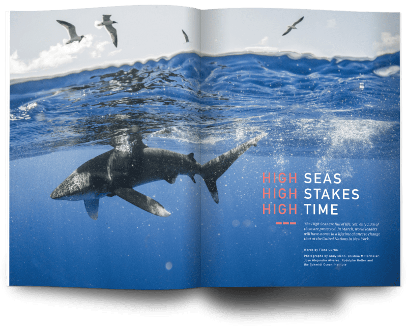 Oceanographic, Issue 23, High Seas, Andy Mann