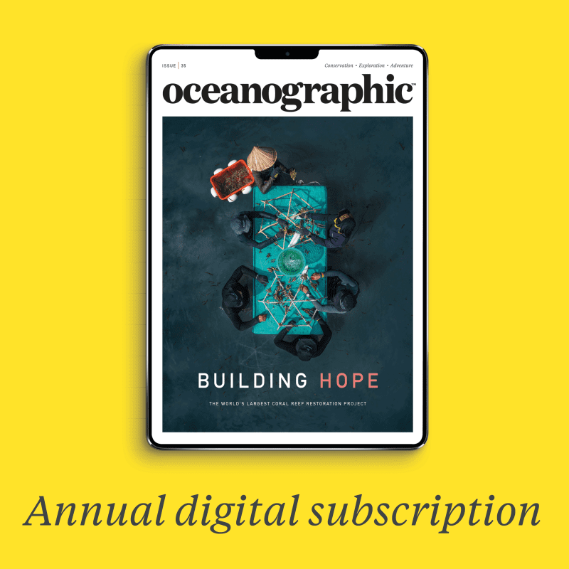 WEBSITE_HUB_GRAPHICS_SUBS_whatsincluded_annualdigsub_35