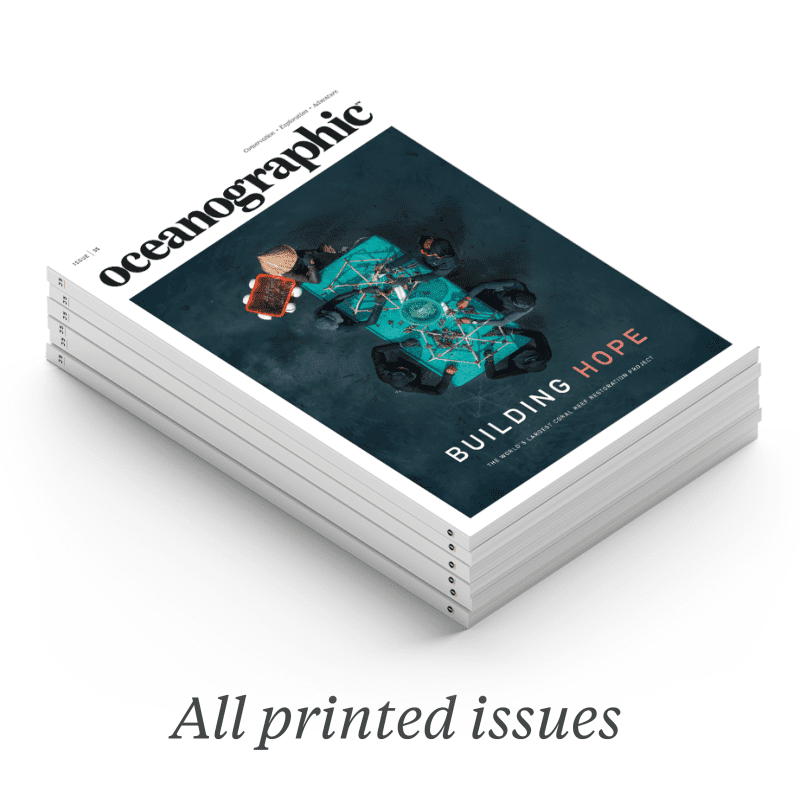 WEBSITE_HUB_GRAPHICS_SUBS_whatsincluded_annualprintsub_35