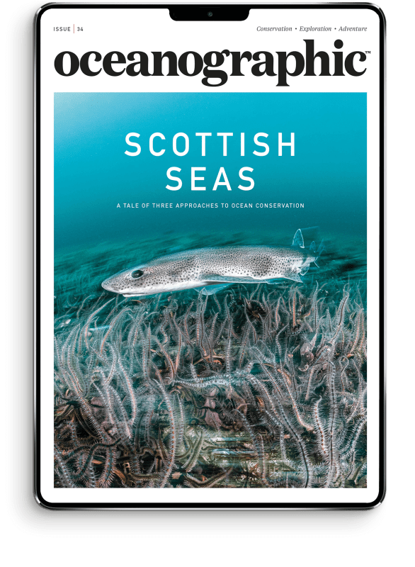 OG_newissueCOVER_master_DIGITAL_newsize_34