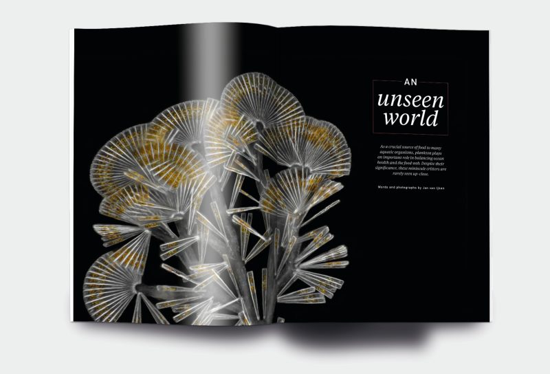 OM_website_ISSUE23_5