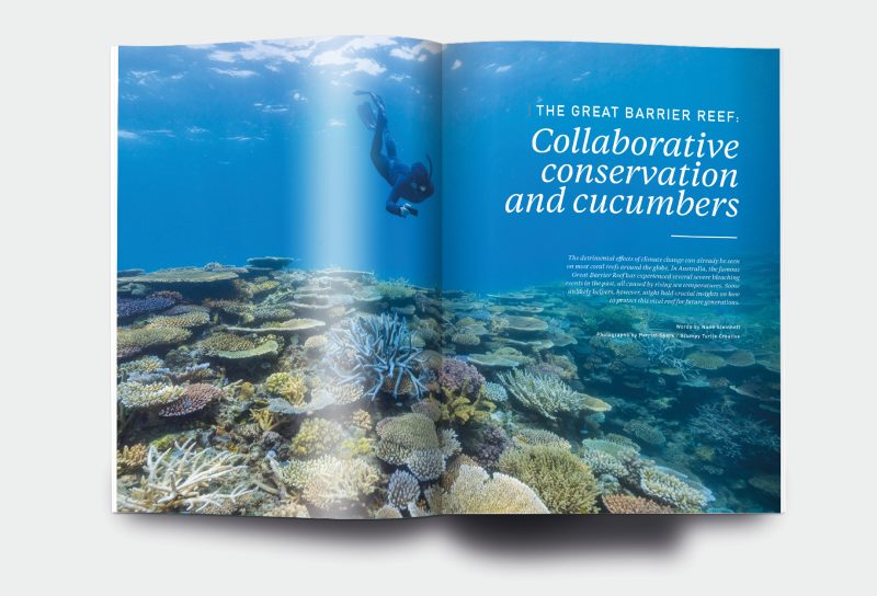 OM_website_ISSUE24_5