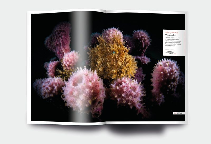 OM_website_ISSUE24_6