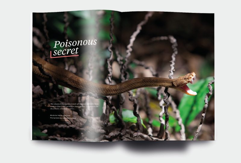 OM_website_ISSUE24_3