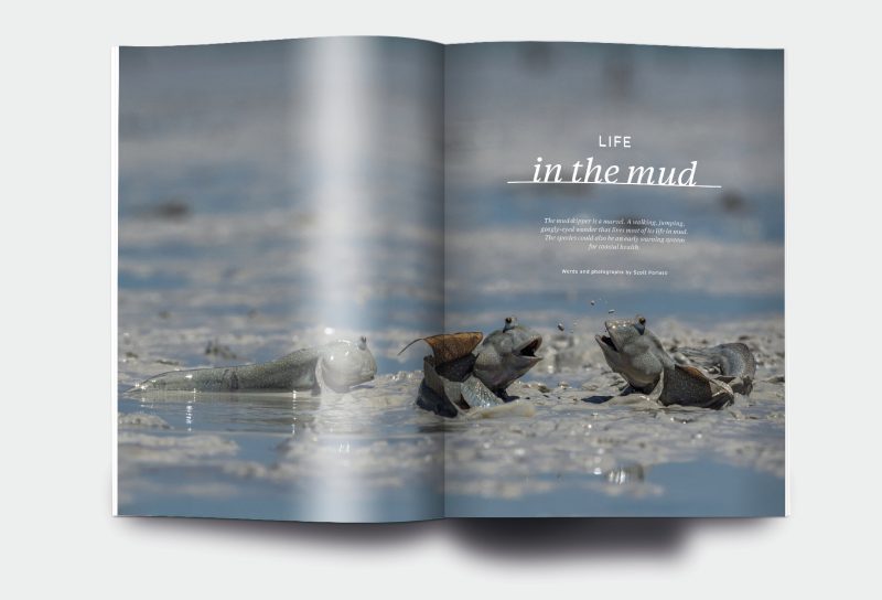 OM_website_ISSUE24_1