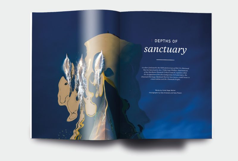 OM_website_ISSUE24_2