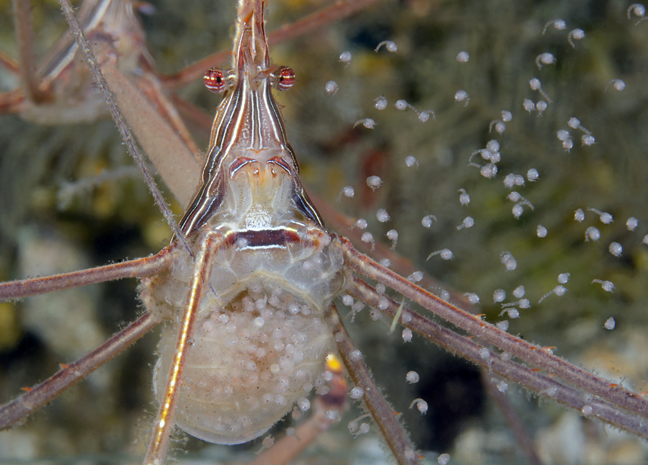 SKovacs_portfolio_10