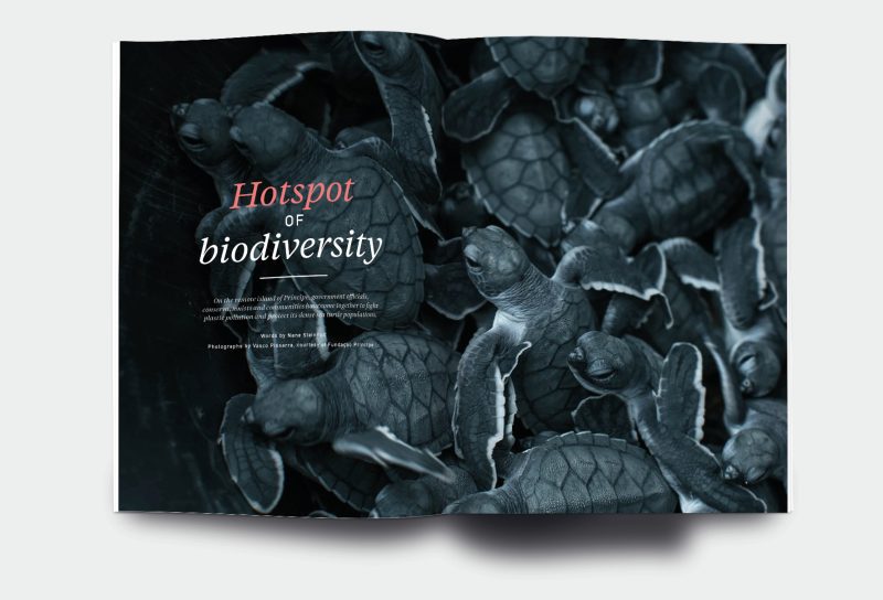 OM_website_ISSUE25_3