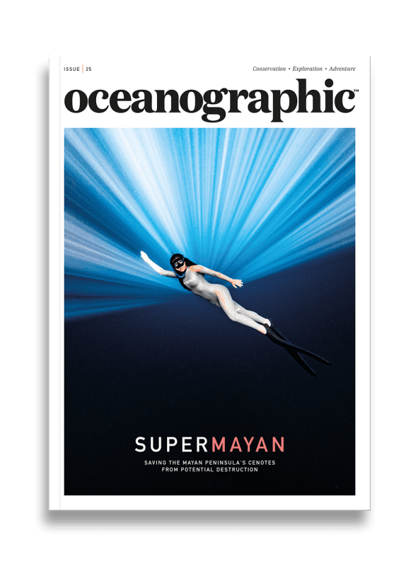 Issue 25 