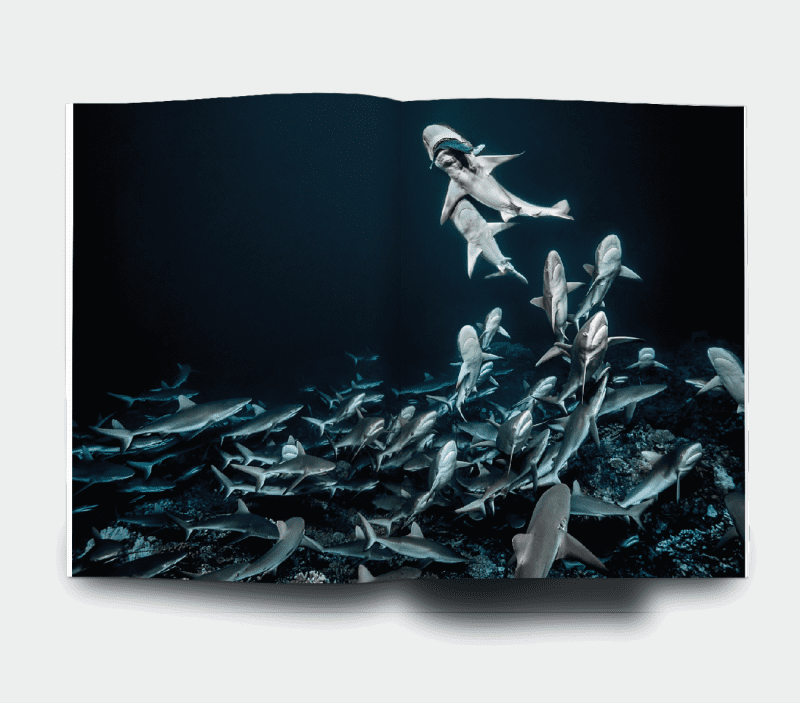 Aboutthemag_Whatsinside_BTL_3
