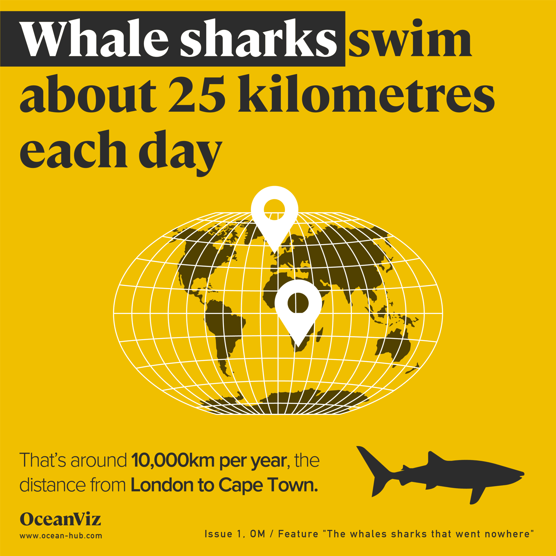 Whale sharks swimming distance