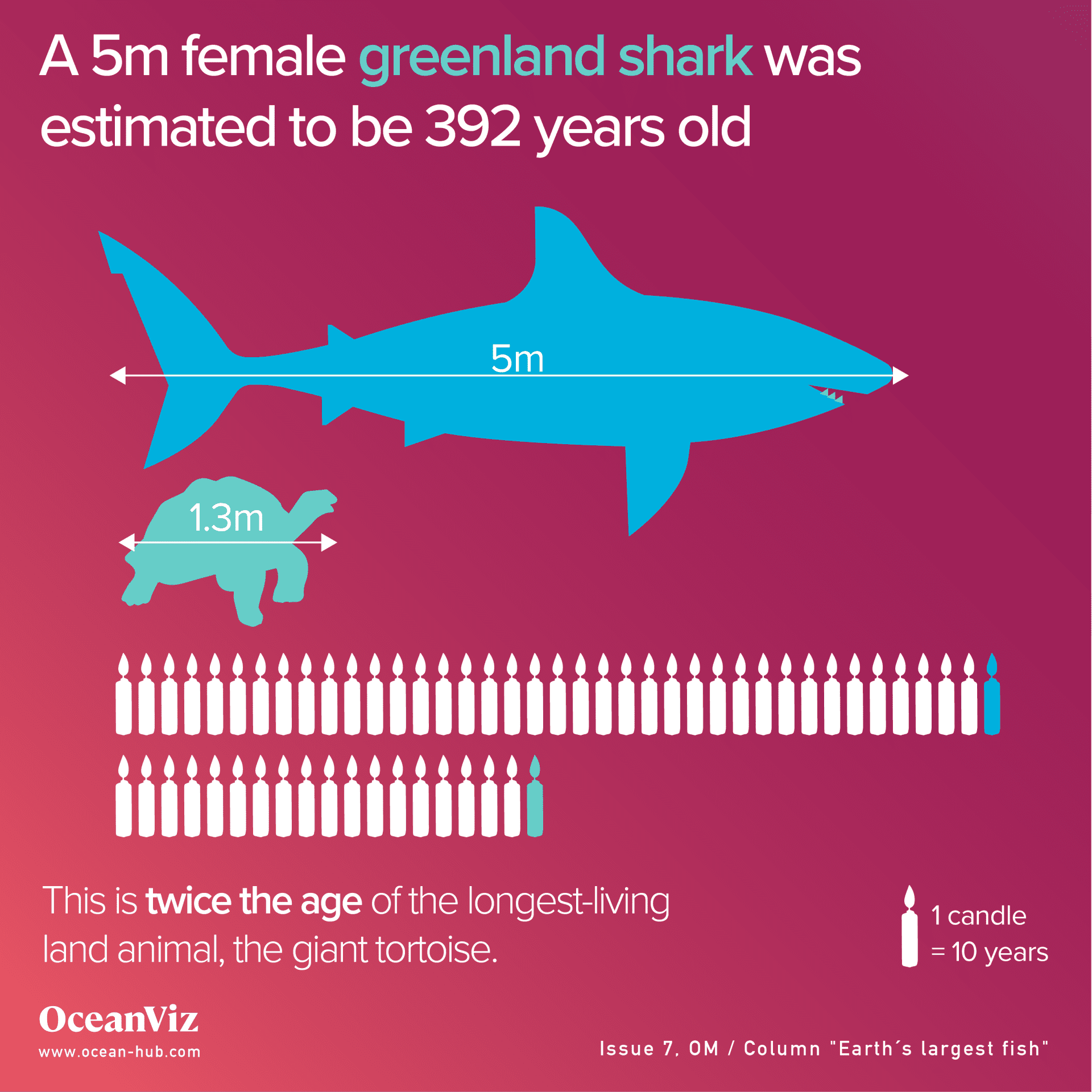 Female greenland shark age