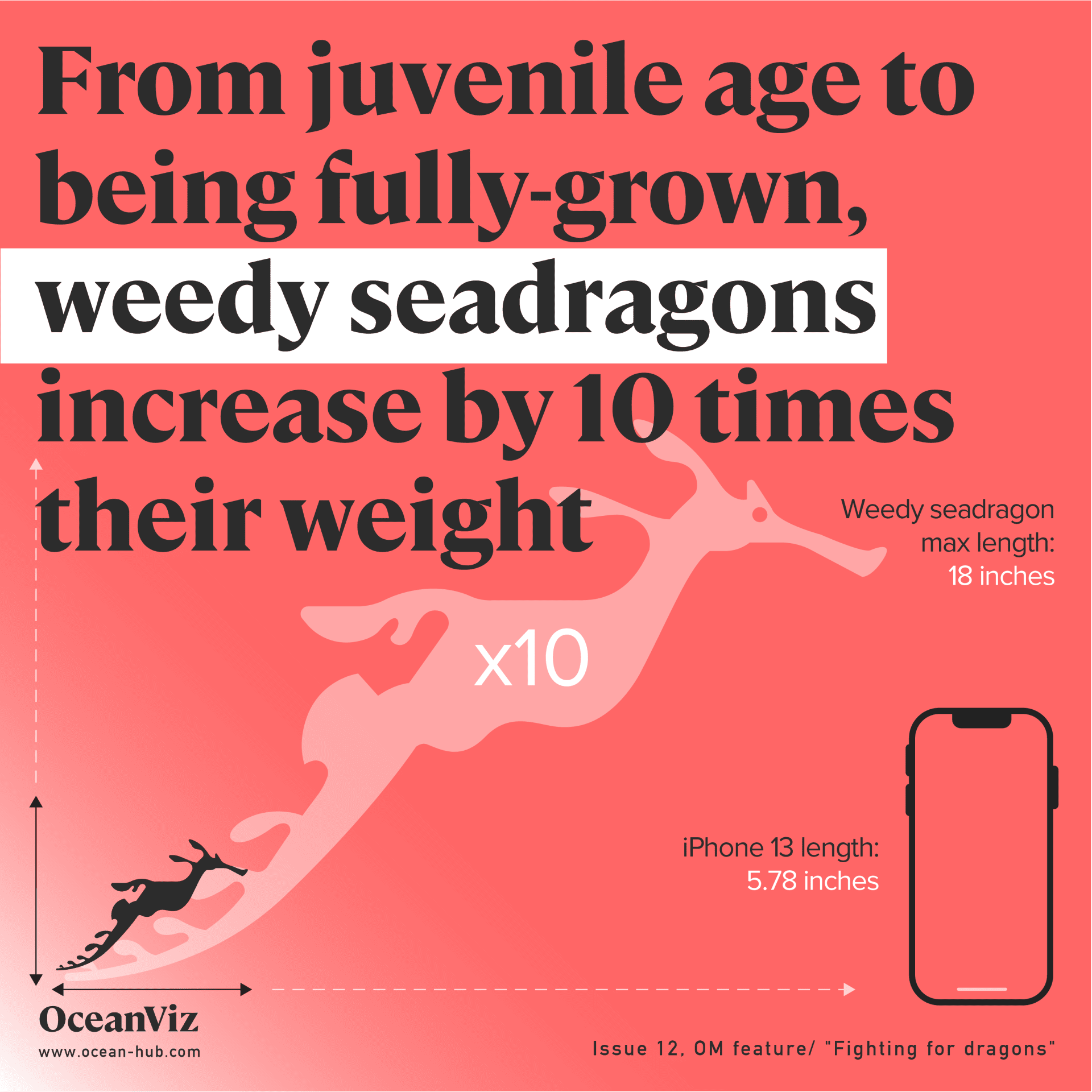 Weedy seadragon weight