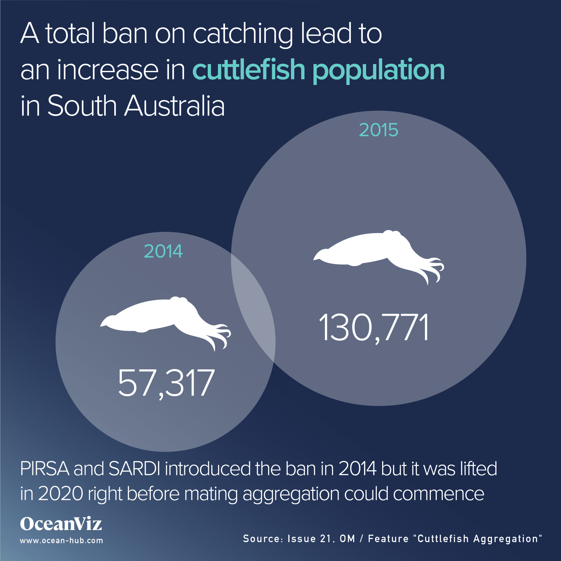 South Australia cuttlefish population