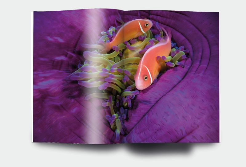 OM_website_ISSUE26_6