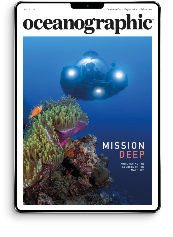 OG_newissueCOVER_master_DIGITAL_newsize_27