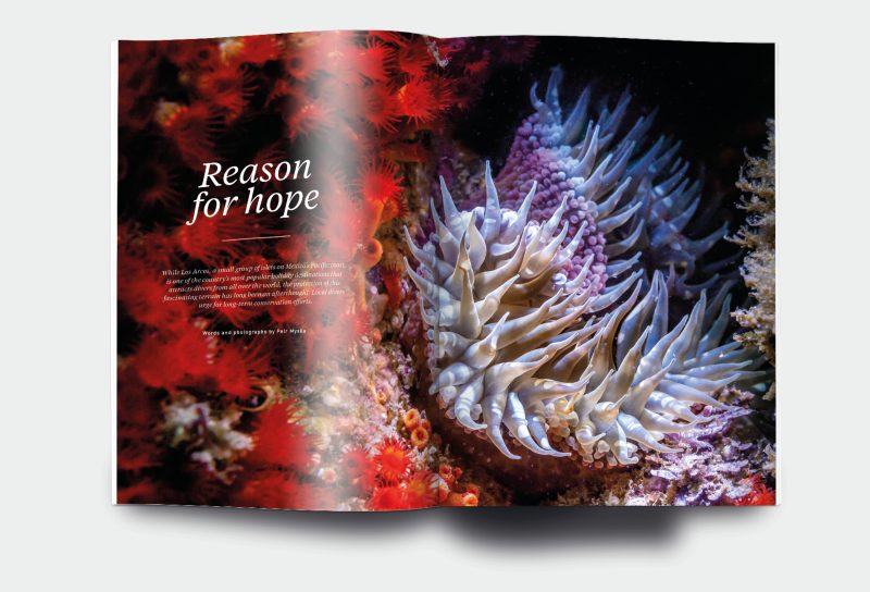 OM_website_ISSUE27_4